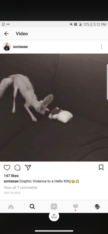 zooophagous: mad-hare:  x-princess-vanity-x:  moldyfingers:   x-princess-vanity-x:   I’m real sick of seeing people do this to their animals. First off, she bought that fox, she didn’t adopt it as she has said on her (now private) Instagram. This