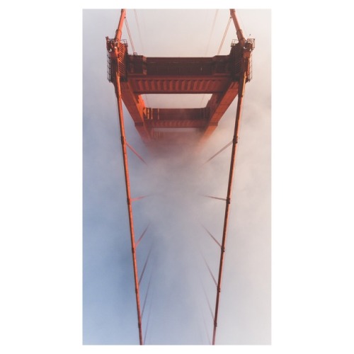 saatchiphoto:one of my all time favorite mornings at the gates ✨