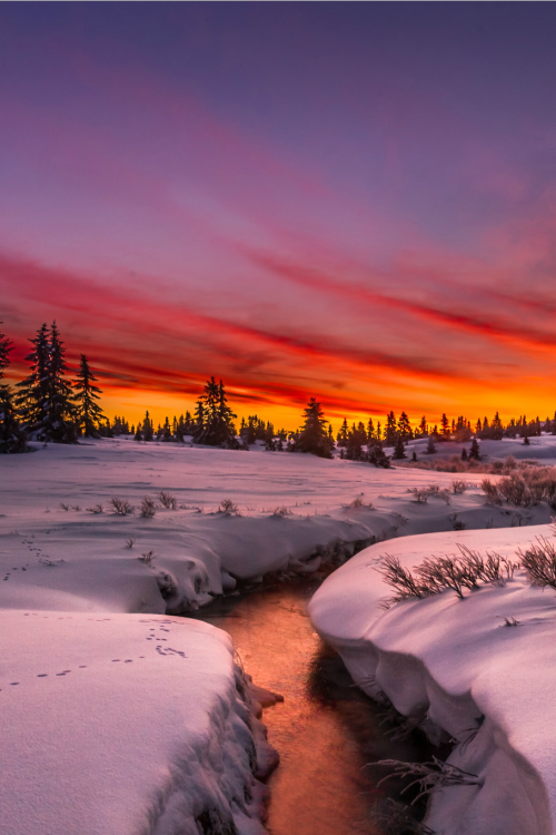 Porn photo sundxwn:  JÃ¸rn Allan Pedersen.Â The