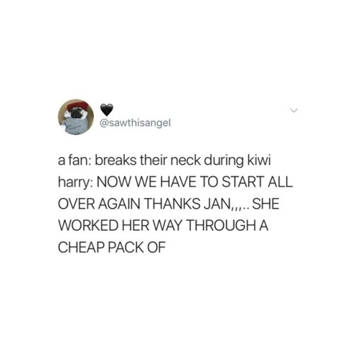 harrystylesisloved:  honestly tho. I’d interrupt kiwi nearing the end so that he’ll start again.