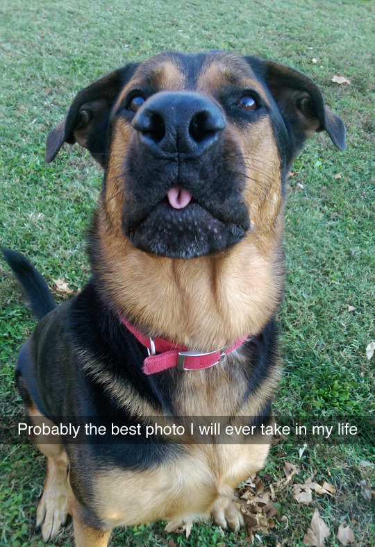 tastefullyoffensive:  Taco blop. (via jenneric)
