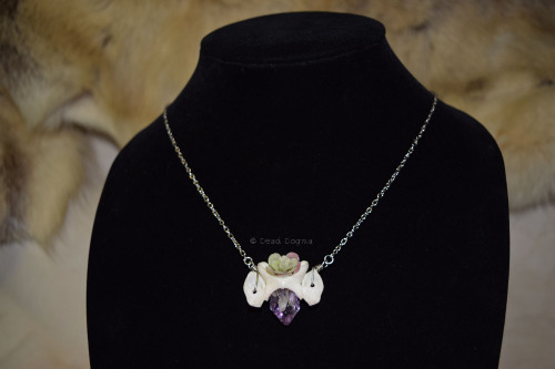 Raccoon atlas bone with amethyst, quartz &amp; faux succulent - available here