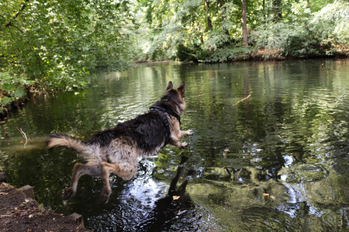 swimming in Tierpark, Berlin!