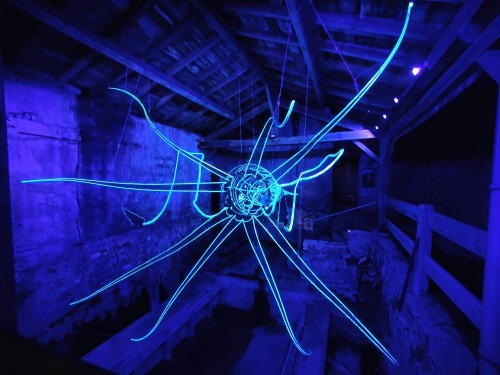 This giant squid of about 7 meters which glows in the night is the work of my friends Marion and Mos