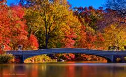 Central Park in brilliant color