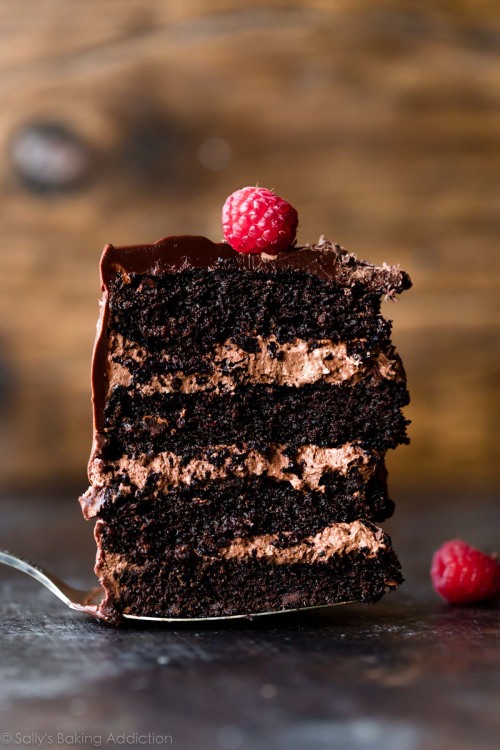 sweetoothgirl:    Dark Chocolate Mousse Cake