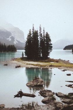 wolverxne:  Untitled | by: { Jared Chambers } - Follow on Tumblr