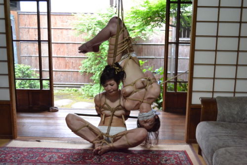 kinbakushibaribondagesuspension:  Kinbaku Kasumi HouraiModel Akari Rakoumo