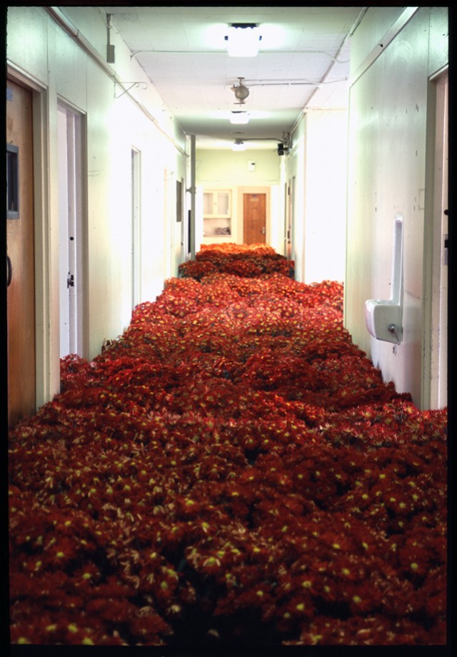 dappledandmisty:  afarewelltostellablue:  punk-arts:  28,000 Potted Flowers Installed