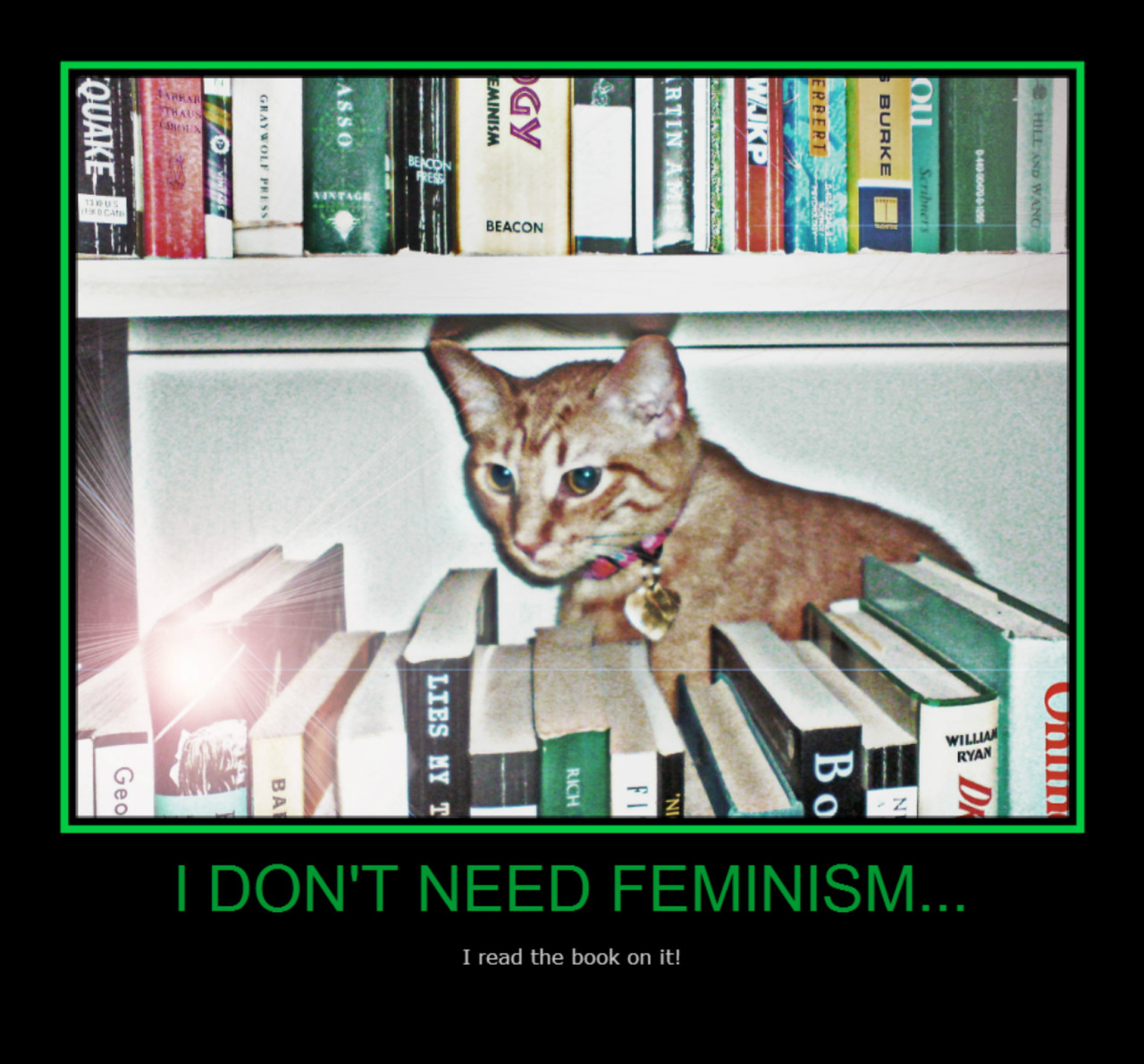 Goldie, the famous feminist author, is hiding from her adoring fan … tuna treats MAY render her approachable (for a second or two) or not.
–
Reader submission. Confused Cats Against Feminism is brought to you by We Hunted the Mammoth, and by YOUR...