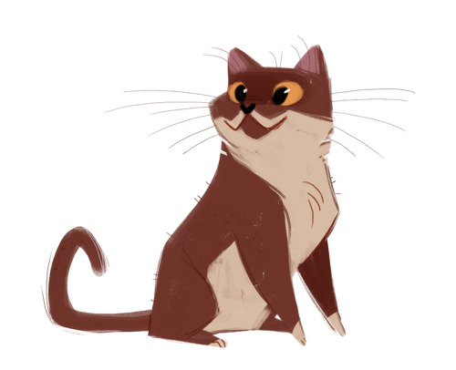 dailycatdrawings:  478: Brown cat