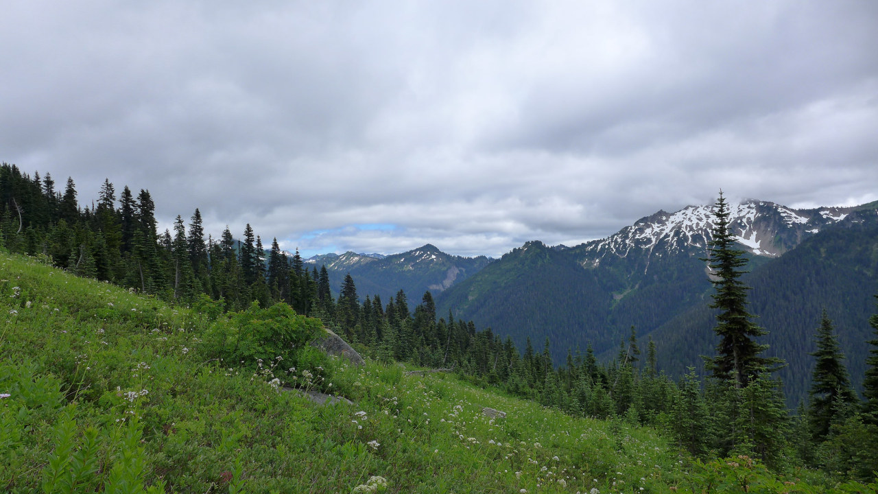 90377:    Cold, foggy hike to White Pass by Joanne Najdzin    