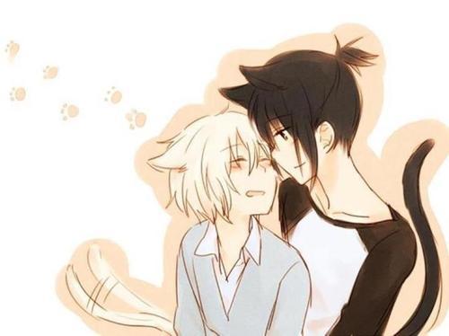 elanra:  Pixiv ID: 25373384Member: やくらし  