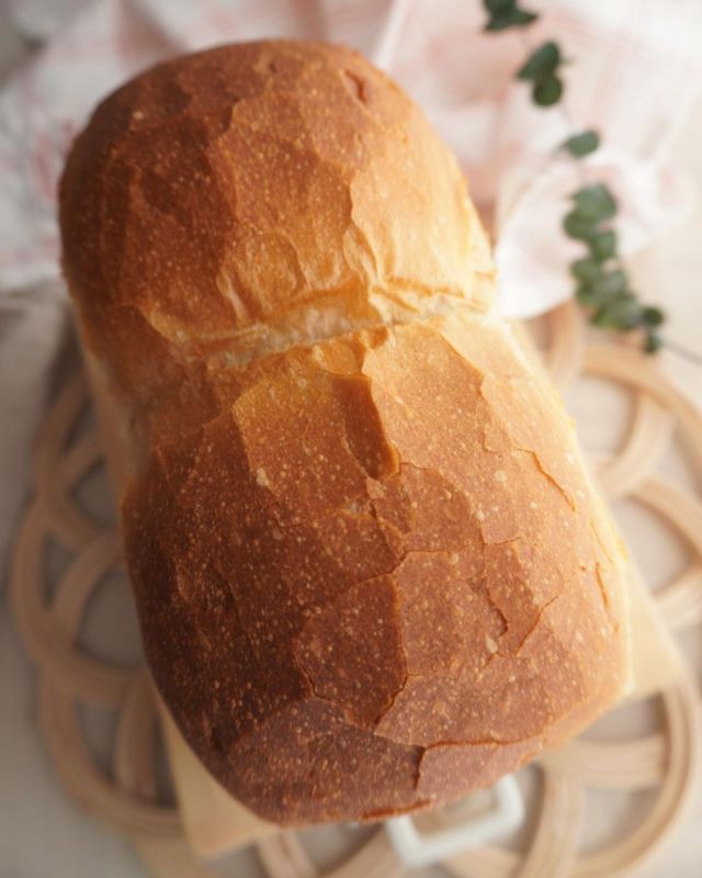 saru_panman #bread#baking#food#cottagecore#shokupan#loaf #pain de mie