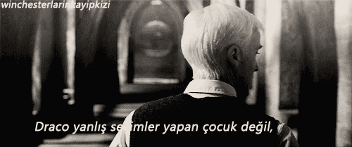Dolunay Seher