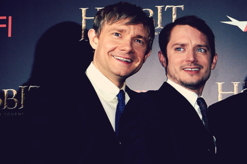 the-hobbit: “You’re very empathetic and you see everything through Frodo’s eyes, which are very expr