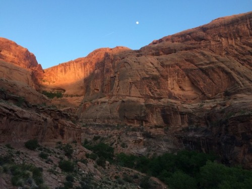 Moab, Utah. Moonflower Canyon.