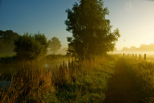 Porn jacindaelena:     Leendert Buteijn photos