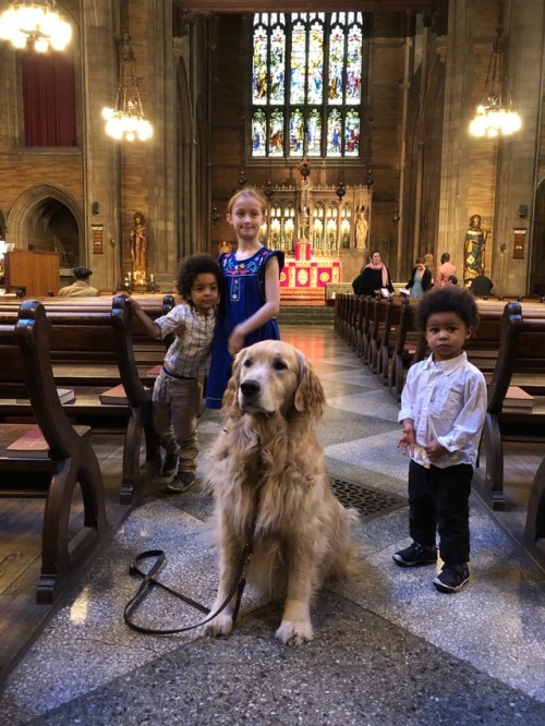 The Rector’s dog greeting visitors after the 9 AM Mass of Pentecost