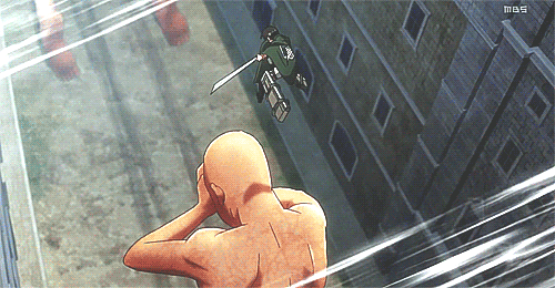 seihanndas:   Lance Corporal Levi  
