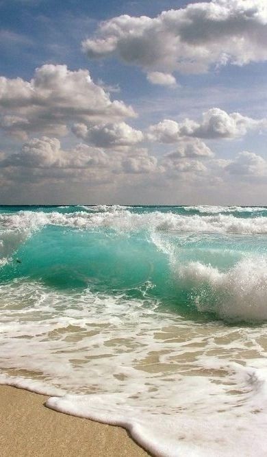 -beachclub: