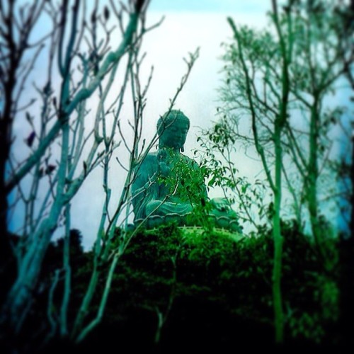 wheredoyoutravel:  Tian Tan Buddha at„ by erwinaurella // via Instagram http://ift.tt/Nooh0Y
