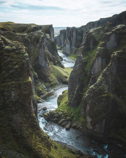 mthrworld: Fjaðrárgljúfur by: @eventyr #fjaðrárgljúfur #canyon #travelawesome #hiking #natureaddict 