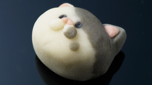 splatoonus:  Happy Valentine’s Day! One of our squid researchers at our HQ in Japan made these amazing traditional Japanese confections called wagashi.They look positively scrumptious, but I’d feel bad subjecting something so cute to my gastric acid.