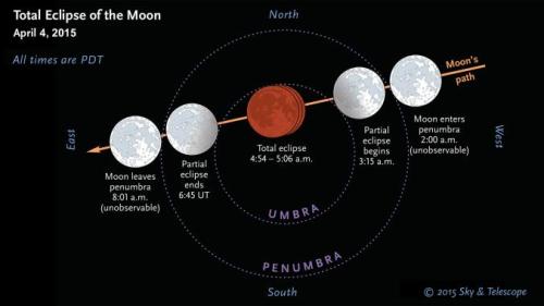 scienceyoucanlove:  See a Blood Moon in Shortest Eclipse of the CenturyA total lunar eclipse will dazzle sky-watchers in the western half of North America.By Andrew FazekasWestern North America will have a front-row seat on Saturday as the fullmoon gets