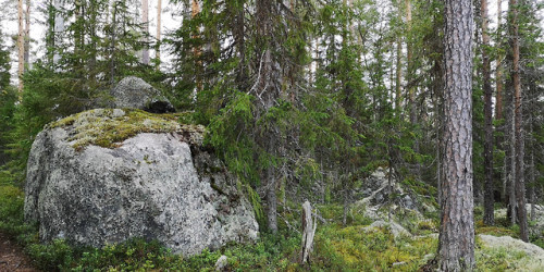 Hamra National Park, Dalarna, Sweden.