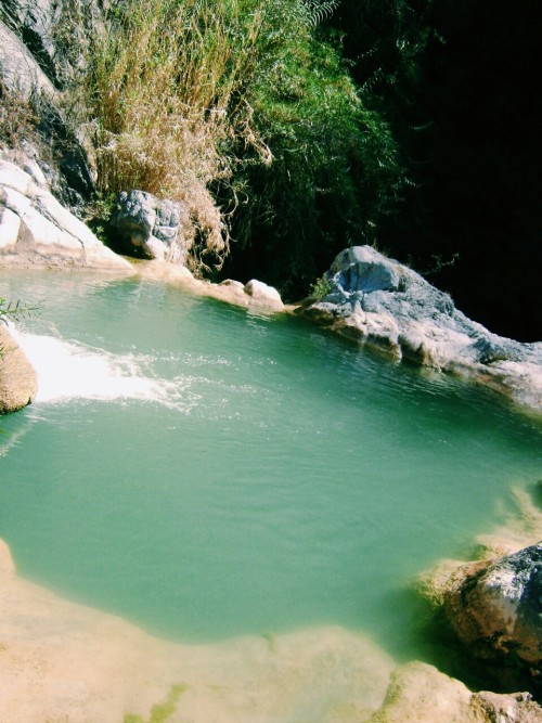 La Magdalena Tlatlauquitepec.
