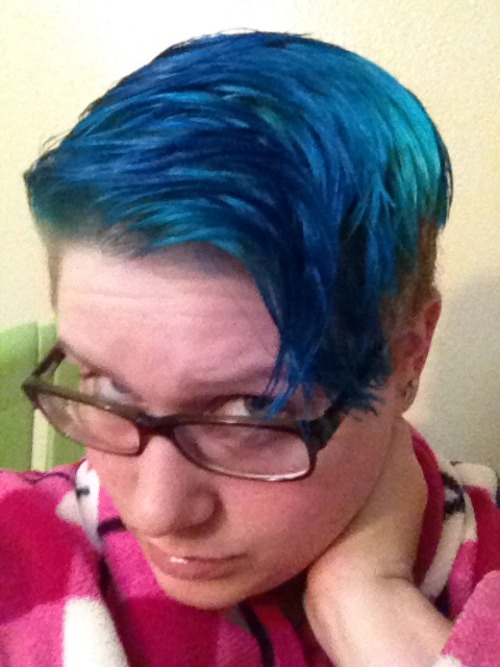 chlorogirl:  Some preliminary photos of my new blue ‘do!