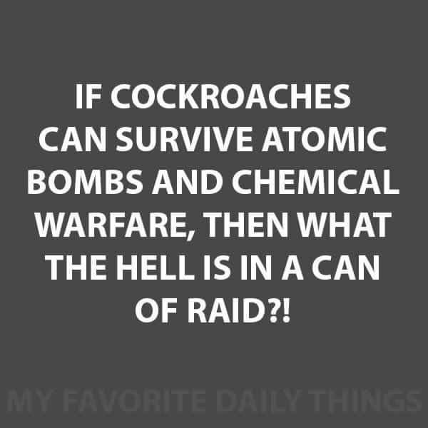 possit-de-tenebris:  anotherbondiblonde:    🤔