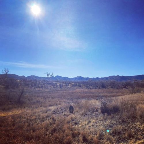 #sundayhiking #hike #arizona (at Buenos Aires National Wildlife Refuge) www.instagram.com/p/