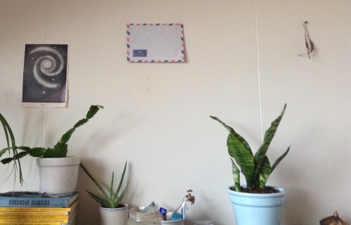 mannnvera:  room 