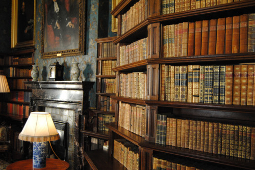 cair&ndash;paravel: The library at Dunster Castle, Somerset. It was designed by architect Anthon