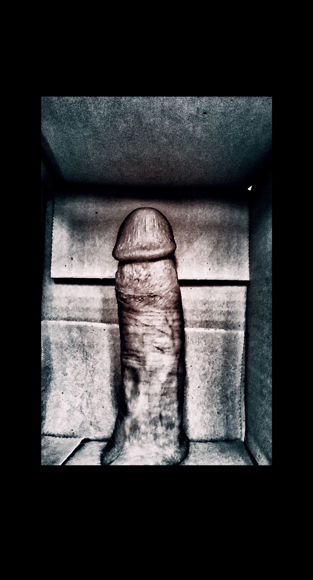 penisart4u:  Dick in a Box Did someone order a toy?Https://penisart4u.tumblr/