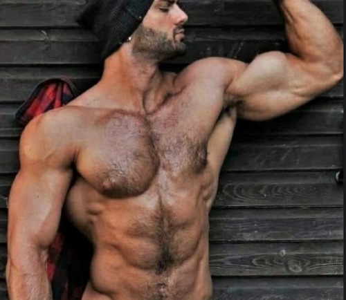 Packed Pecs