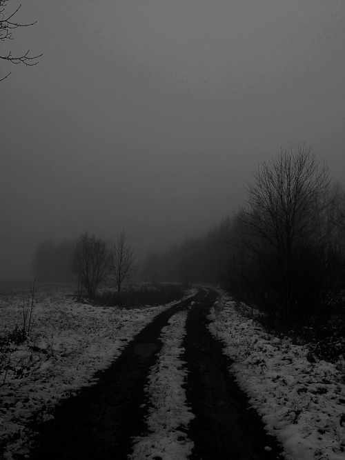 dark winter