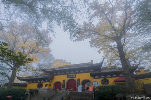 fuckyeahchinesegarden:藏海寺canghai temple, suzhou, jiangsu province by 枫红叶落999