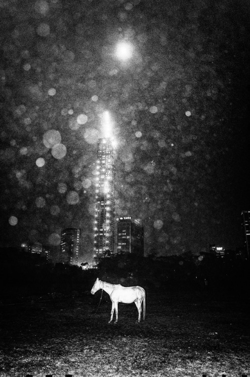 inneroptics:  Kanishka Mukherji