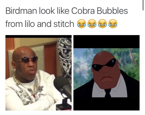 dr-michell: “ya’ll finished or are ya’ll done” playing with birdman