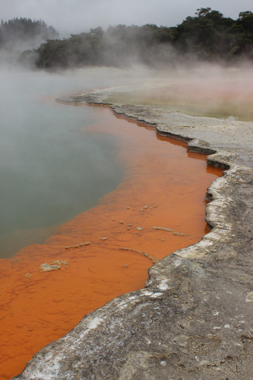 picturas-loquens: The geothermal landscape of Rotorua, New Zealand. It felt like travelling through 