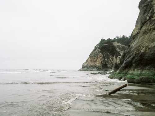 kellyelainesmith:  hug point on portra 400, may 2016 kelly smith 
