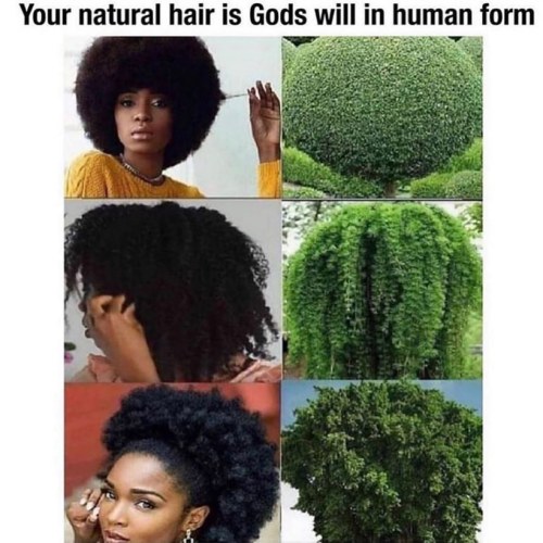 @queenofnaturalthings Natural hair is nature❤️✨✨✨ FOLLOW @queenofnaturalthings ‼️✨✨#2frochicks #hair