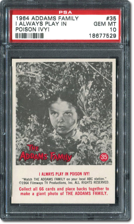 driveintheaterofthemind: Vintage Trading Cards - The Addams Family (1964) (Donruss)