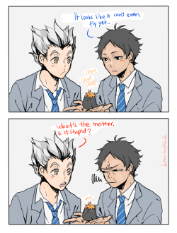 batteru-teru:  -‘No Bokuto-san it’s just a baby’ Based of off this 