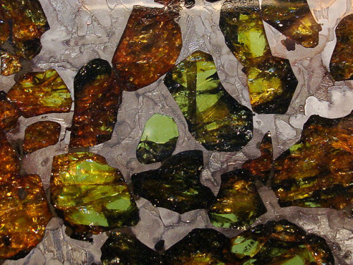 Esquel Pallasite Meteorite Slice - Argentina