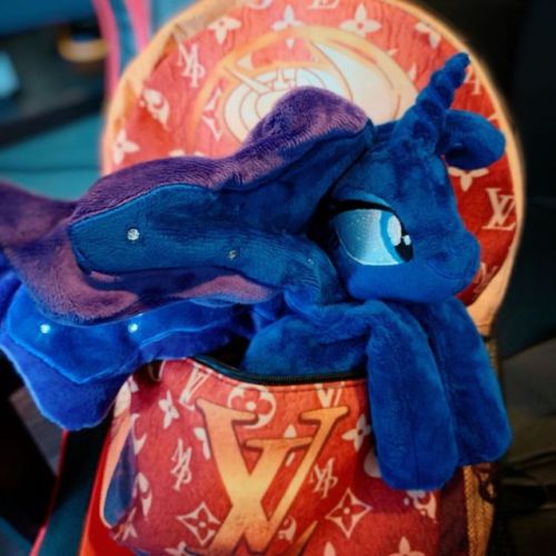 The “Luna Vuitton” backpacks came in today! I will have 5 available at #bronycon at booth number 607