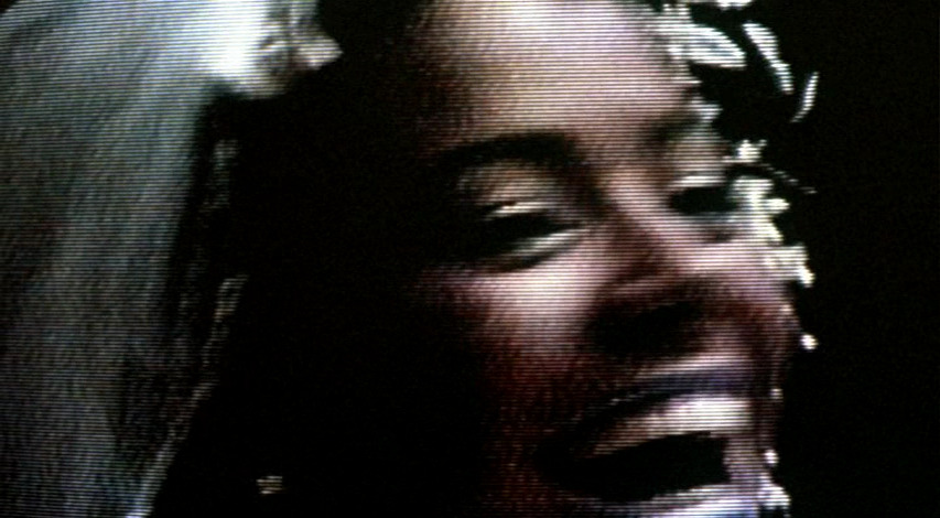 roserosette:  Chameleon Street, 1989, Wendell B. Harris Jr.